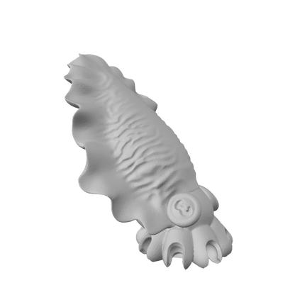 Cuttlefish flexi