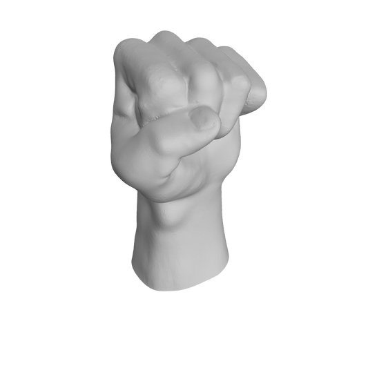 Fist (3D Model) STL