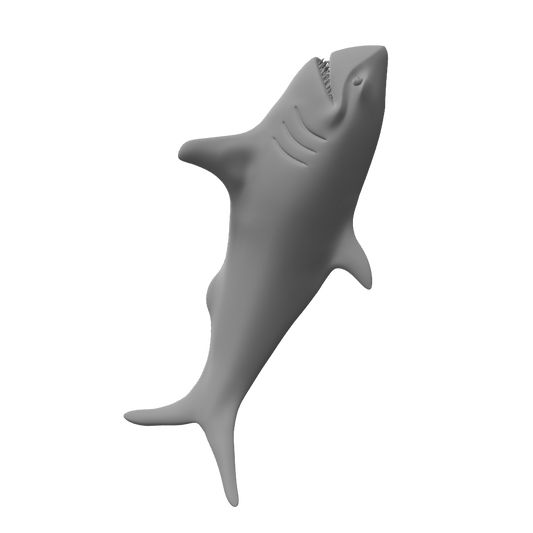 Great White Shark