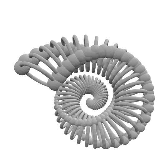 Bone Nautilus