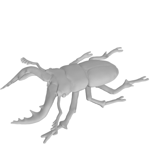 Sawtooth Head Beetle