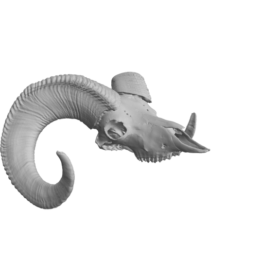 Sheep 3D Model – STL File for 3D Printing